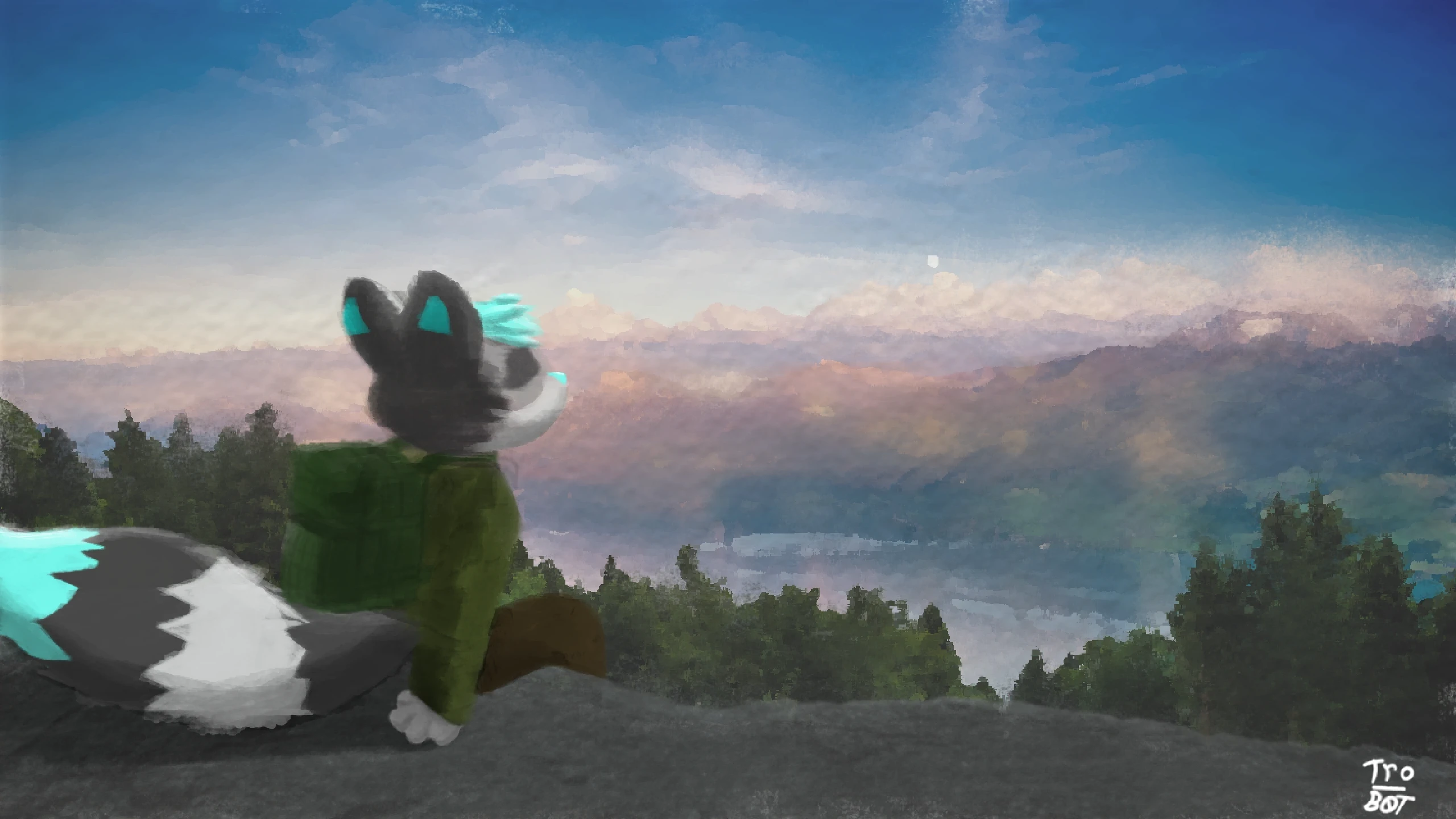 [Imgs not uploaded yet]